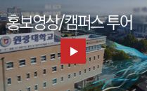 영상보기